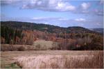 2978img0049