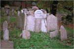 2979img0022