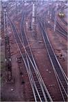 2979img0074
