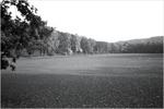 4534img0027