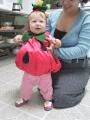 img_3724su.jpg