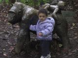 img_4317su.jpg
