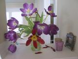 img_4672su.jpg