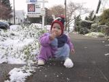 img_4738su.jpg