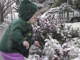 img_4796su.jpg