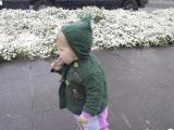 img_4801su.jpg