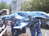 img_5486su.jpg