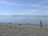 img_5955su.jpg