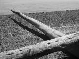img_5968su.jpg