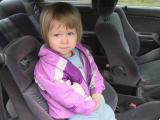 img_7529su.jpg