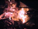 img_7694su.jpg