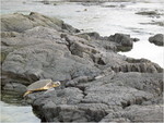 img_4099