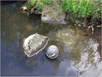dscf0762