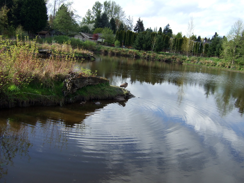dscf0778