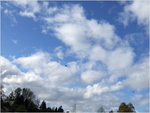 dscf0781