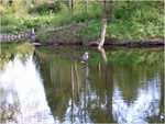 dscf0798