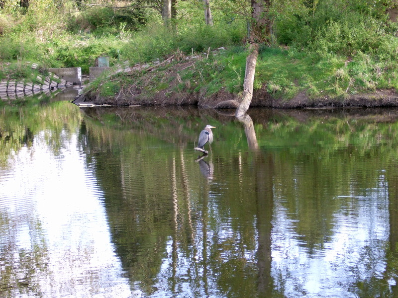 dscf0798