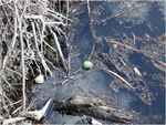 dscf0804