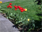 dscf0867
