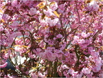 dscf0882