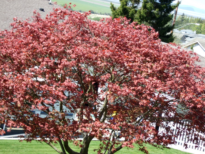 dscf0883