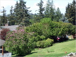 dscf0886