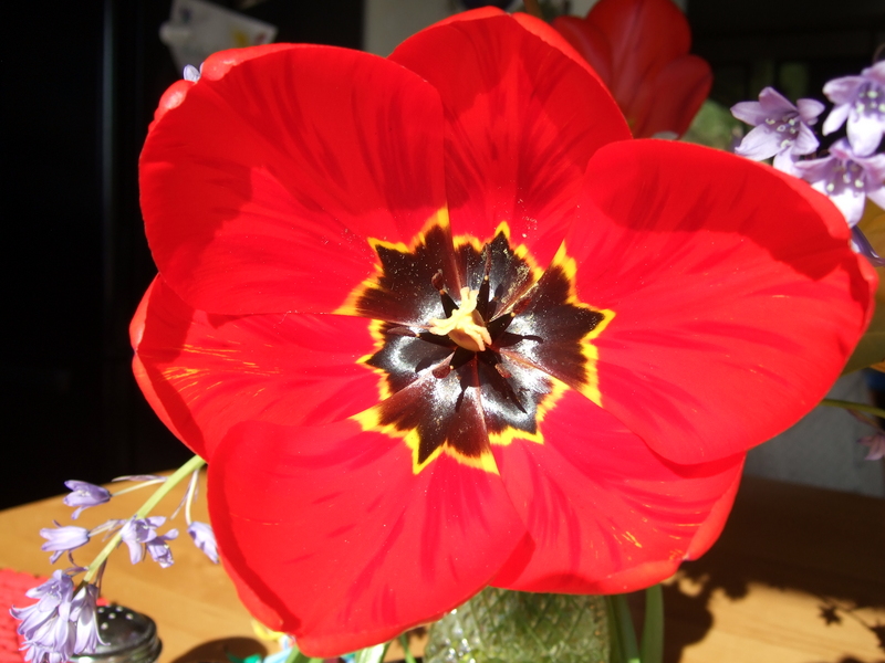 dscf0924