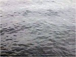 dscf1102