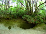 dscf1172