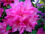 dscf1396