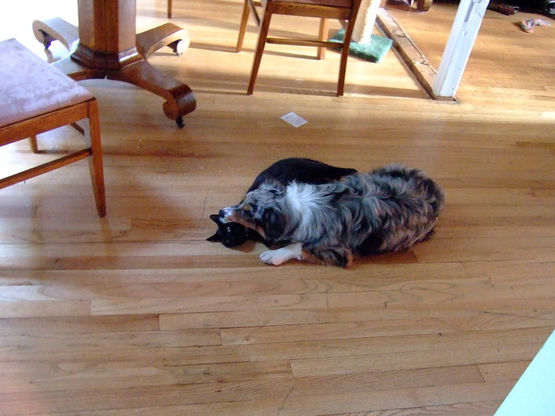 dscf1404