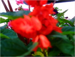 dscf1944