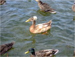 dscf2287