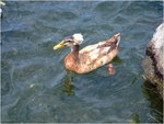dscf2293