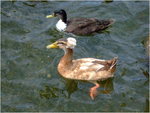 dscf2295