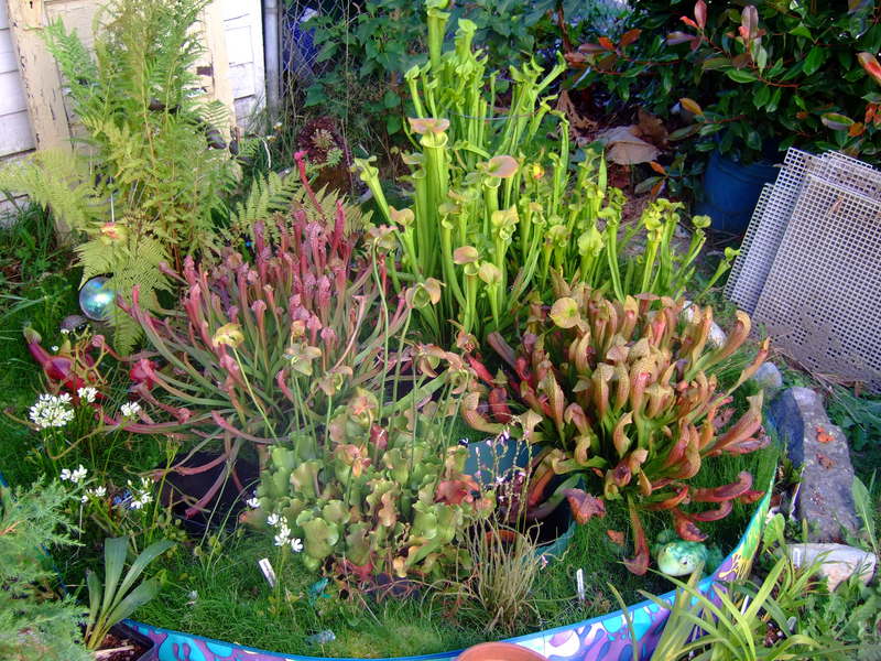 dscf2485