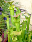 dscf2487