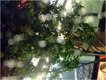 dscf2974