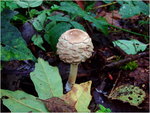 dscf3058