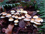 dscf3076