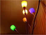 dscf3116
