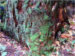 dscf3262