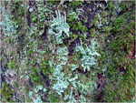 dscf3927