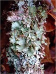 dscf3938