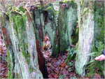 dscf4306