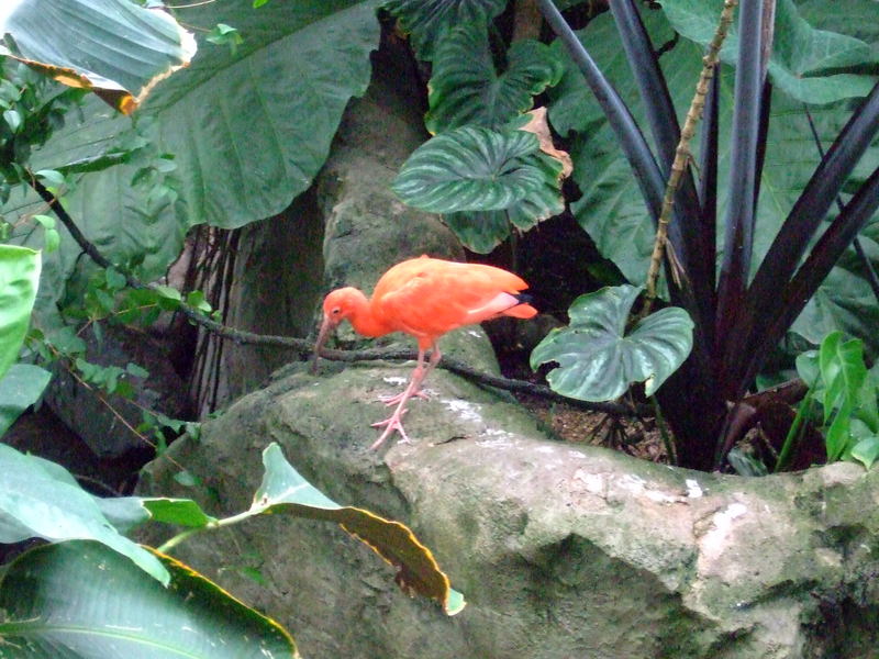 dscf5273