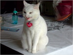 dscf5413