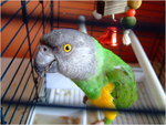 dscf5417