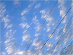dscf5491