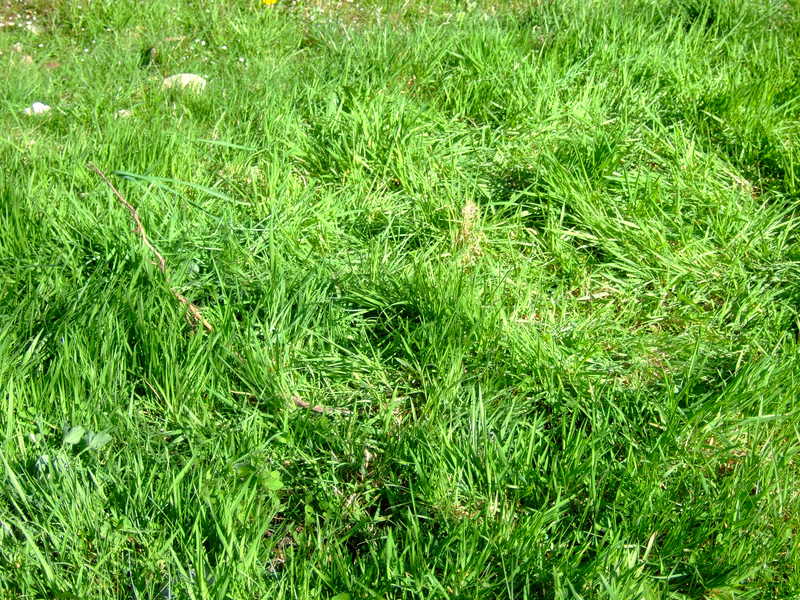 dscf5588